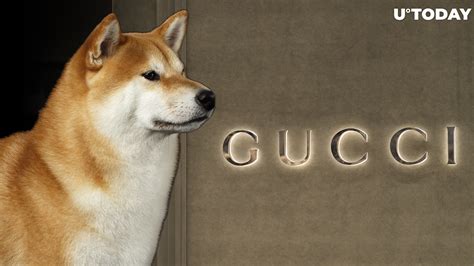 gucci shiba|gucci shiba inu.